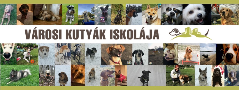 Városi Kutyák Iskolája