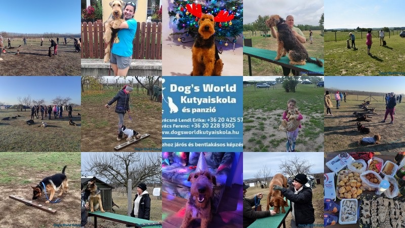 Dogsworld kutyaiskola