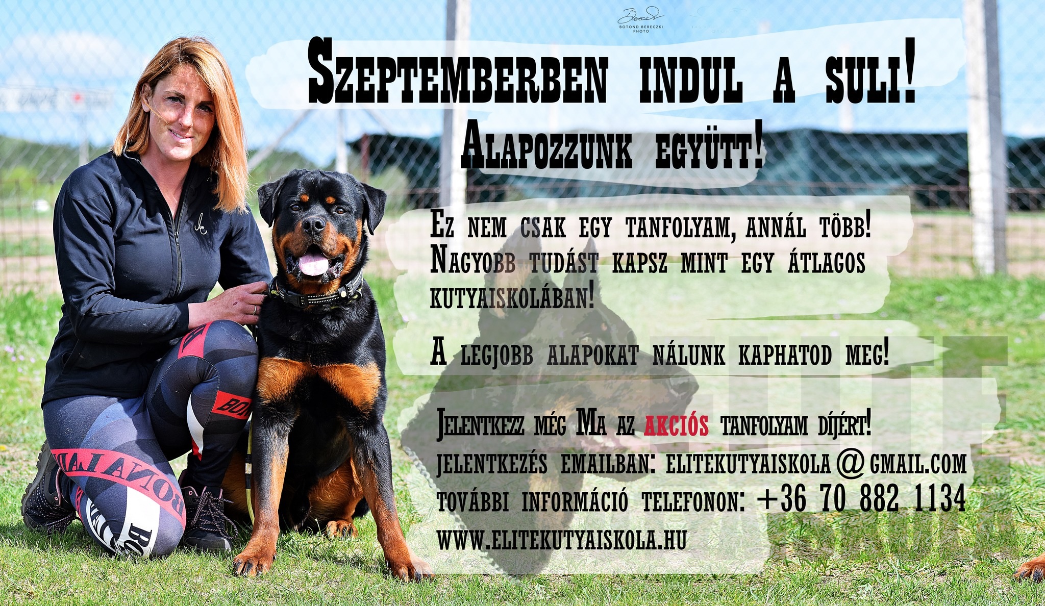 Elite Kutyaiskola és kutyanapközi