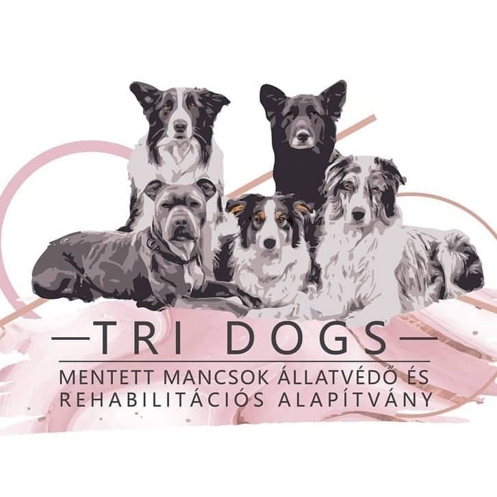 Tri Dogs Kutyaiskola és Állatvédő Alapítvány
