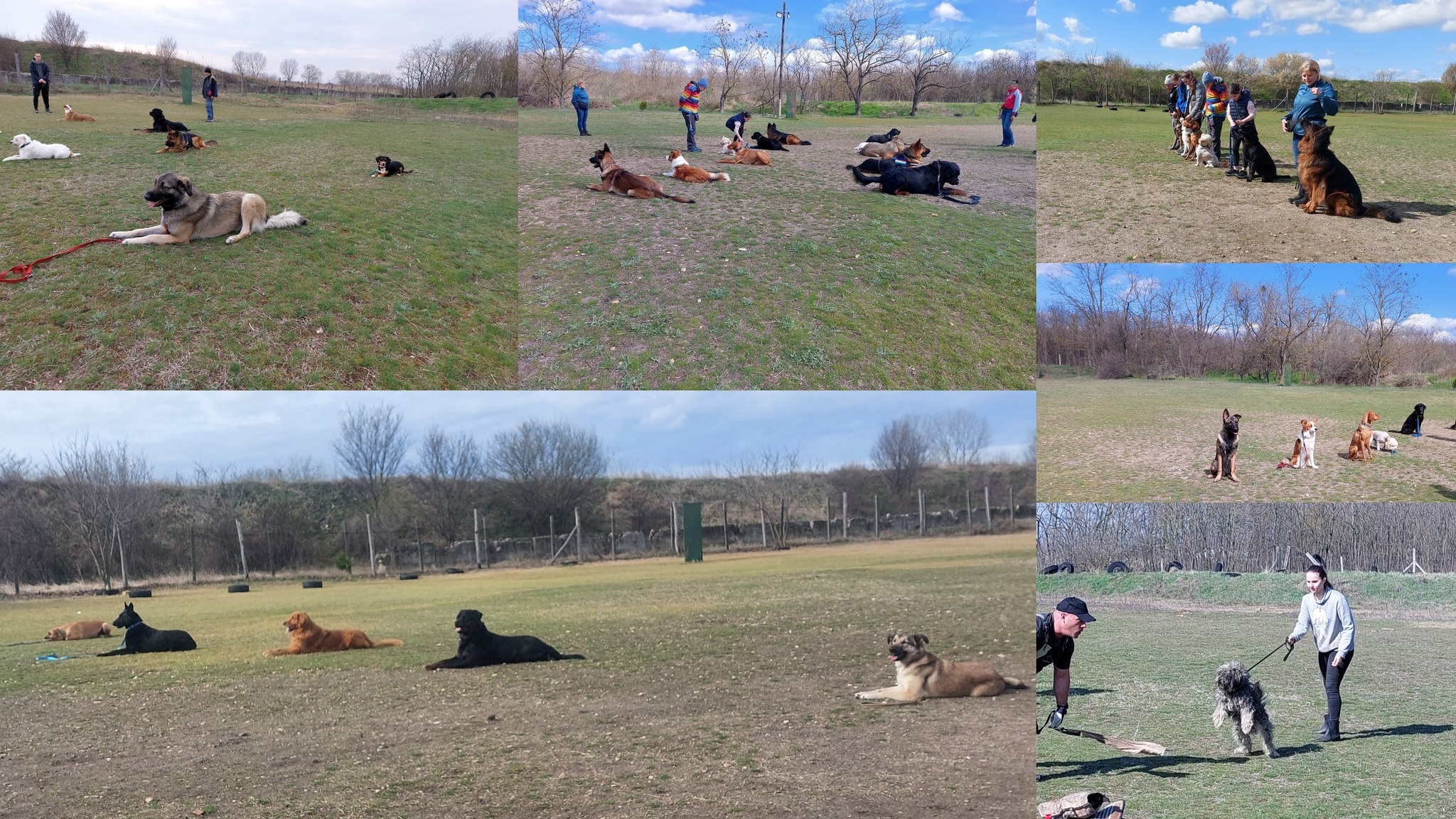 Pestlőrinci Kutyakiképző Iskola