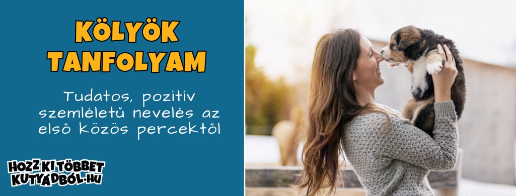 Hozz ki többet kutyádból Kutyaiskola