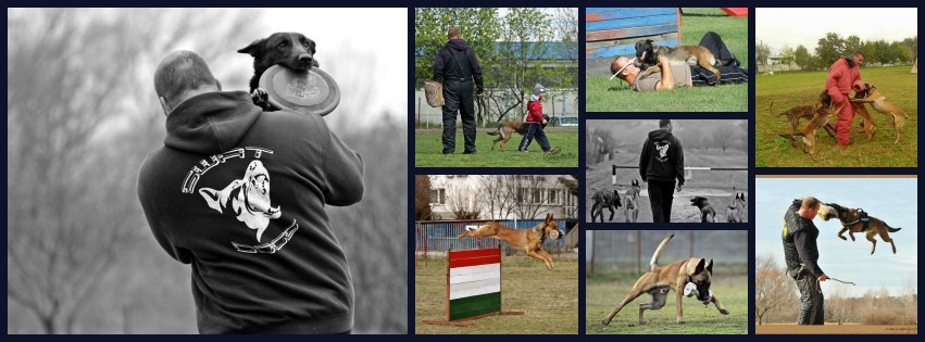 Swat Dogs Kutyaiskola