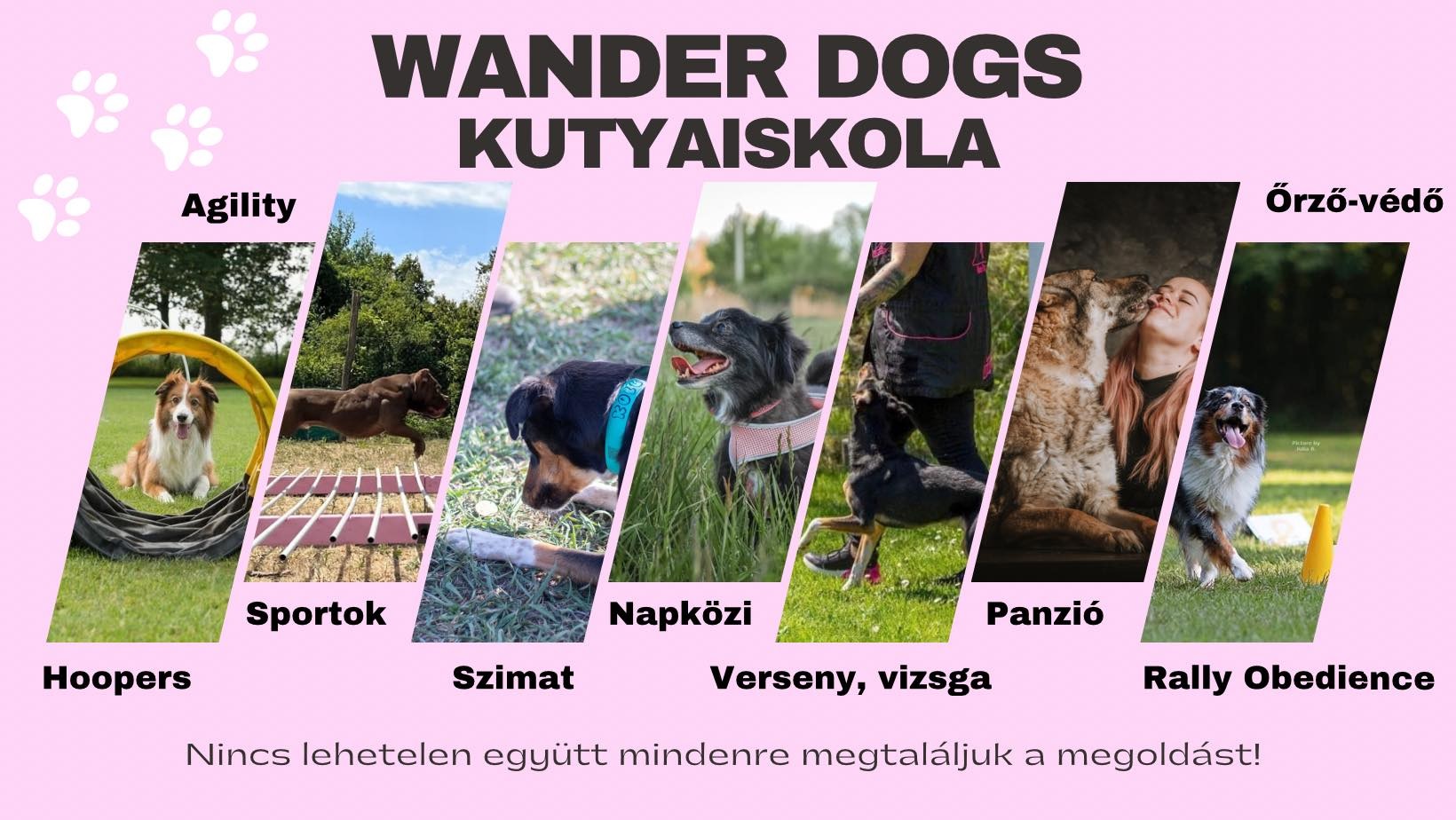 Wander Dogs World