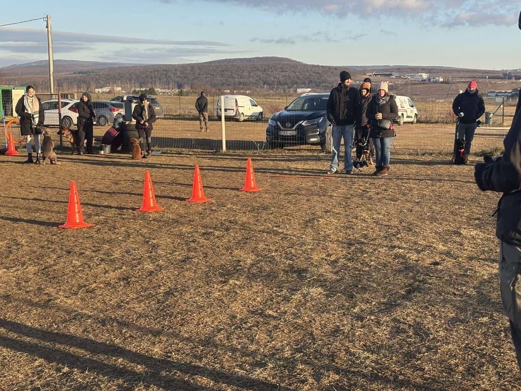 Pet and Life Kutyaiskola