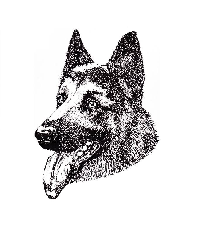 Millennium Kutyaiskola Soroksár