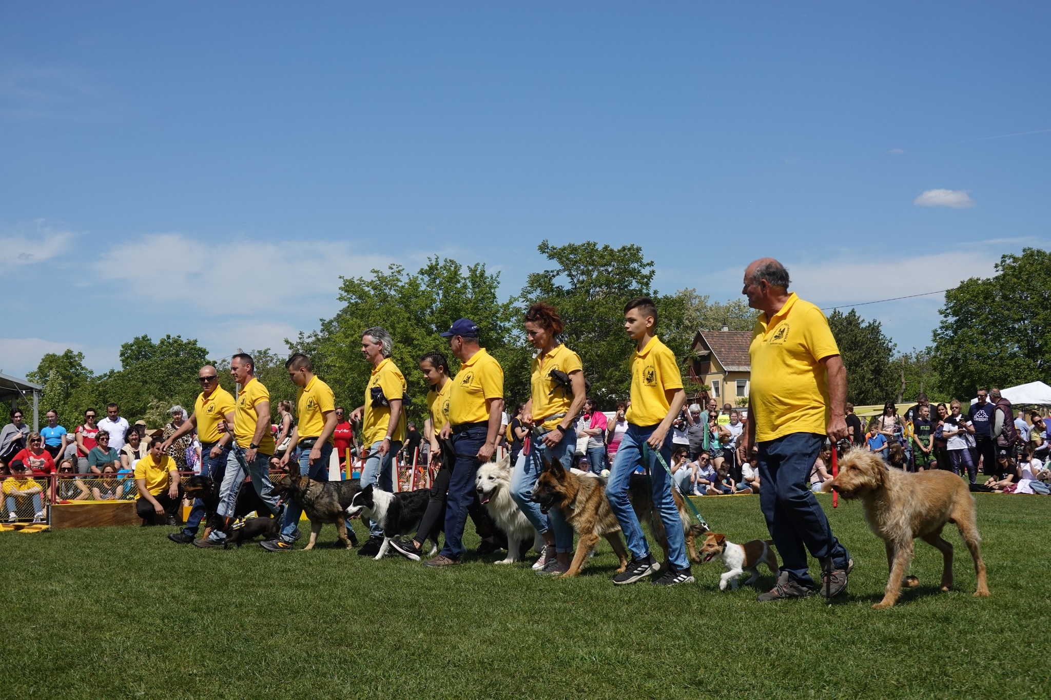 Millennium Kutyaiskola Soroksár