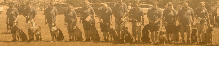 Szigethalmi Kutyaiskola