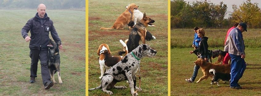 Csepeli Meteor Kutyaiskola