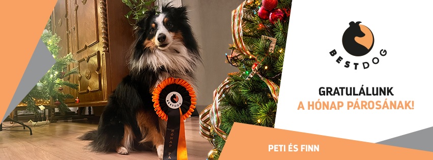 Best Dog Kutyaközpont