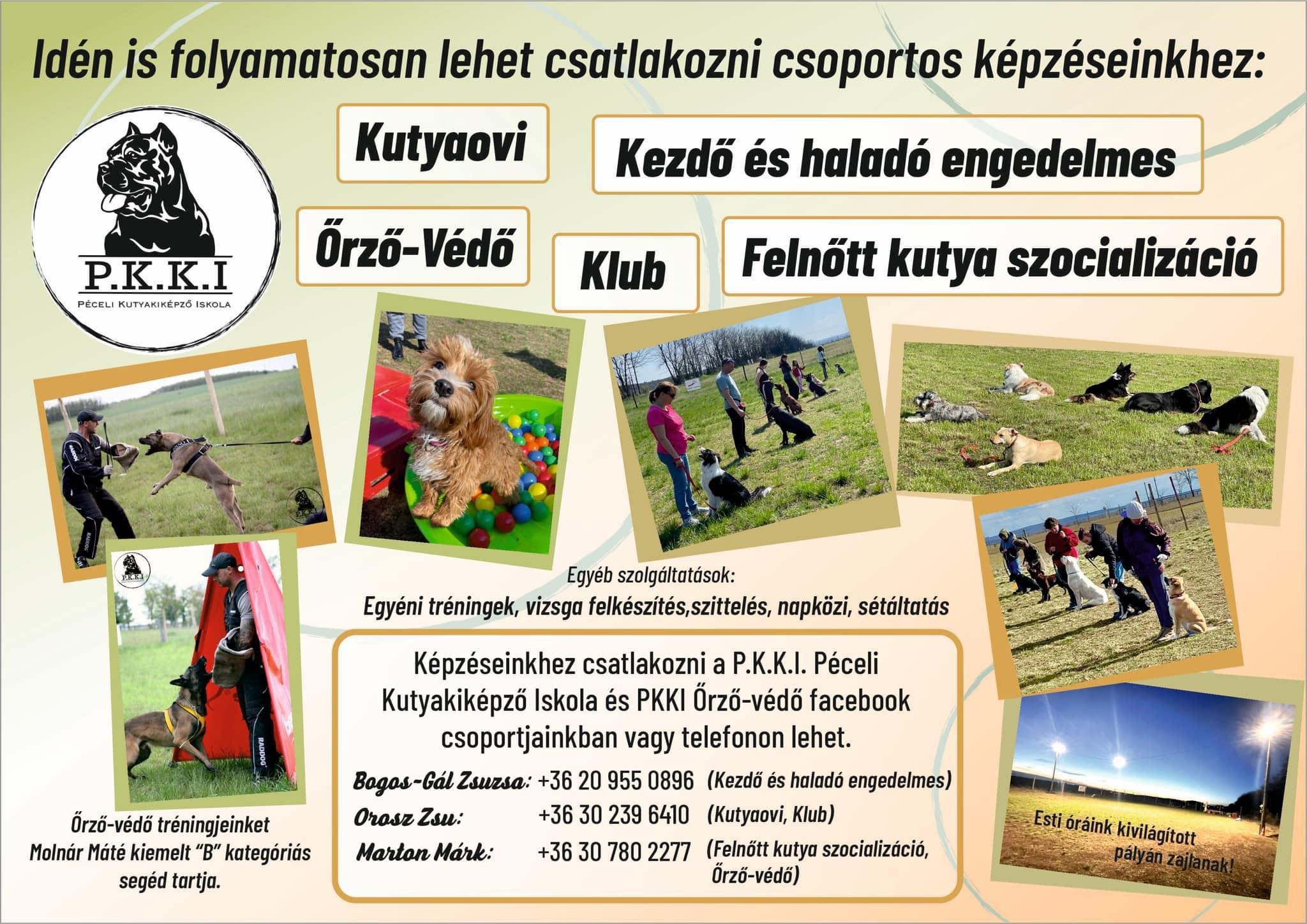 Péceli Kutyakiképző Iskola