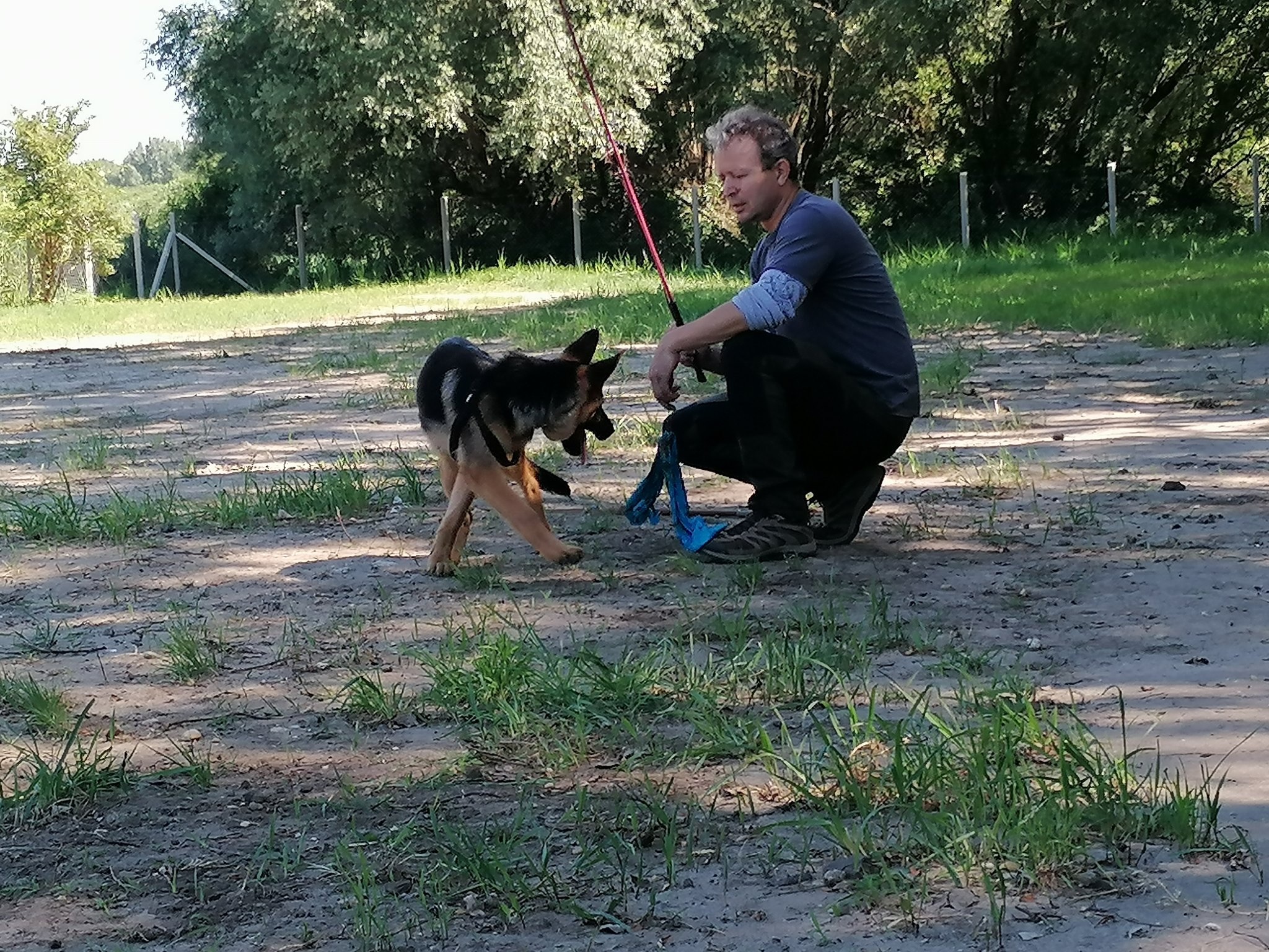 Szász Ernő Kutyaiskola