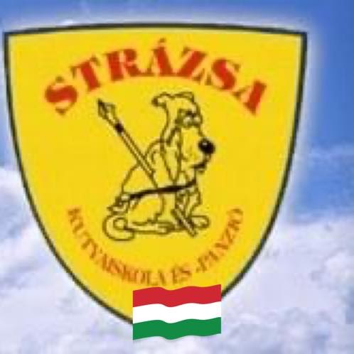 Strázsa Kutyaiskola És Panzio