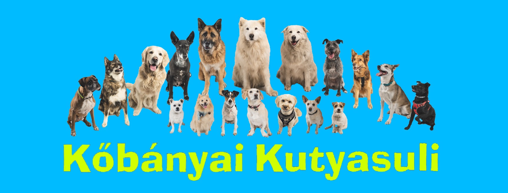 Kőbányai Kutyasuli