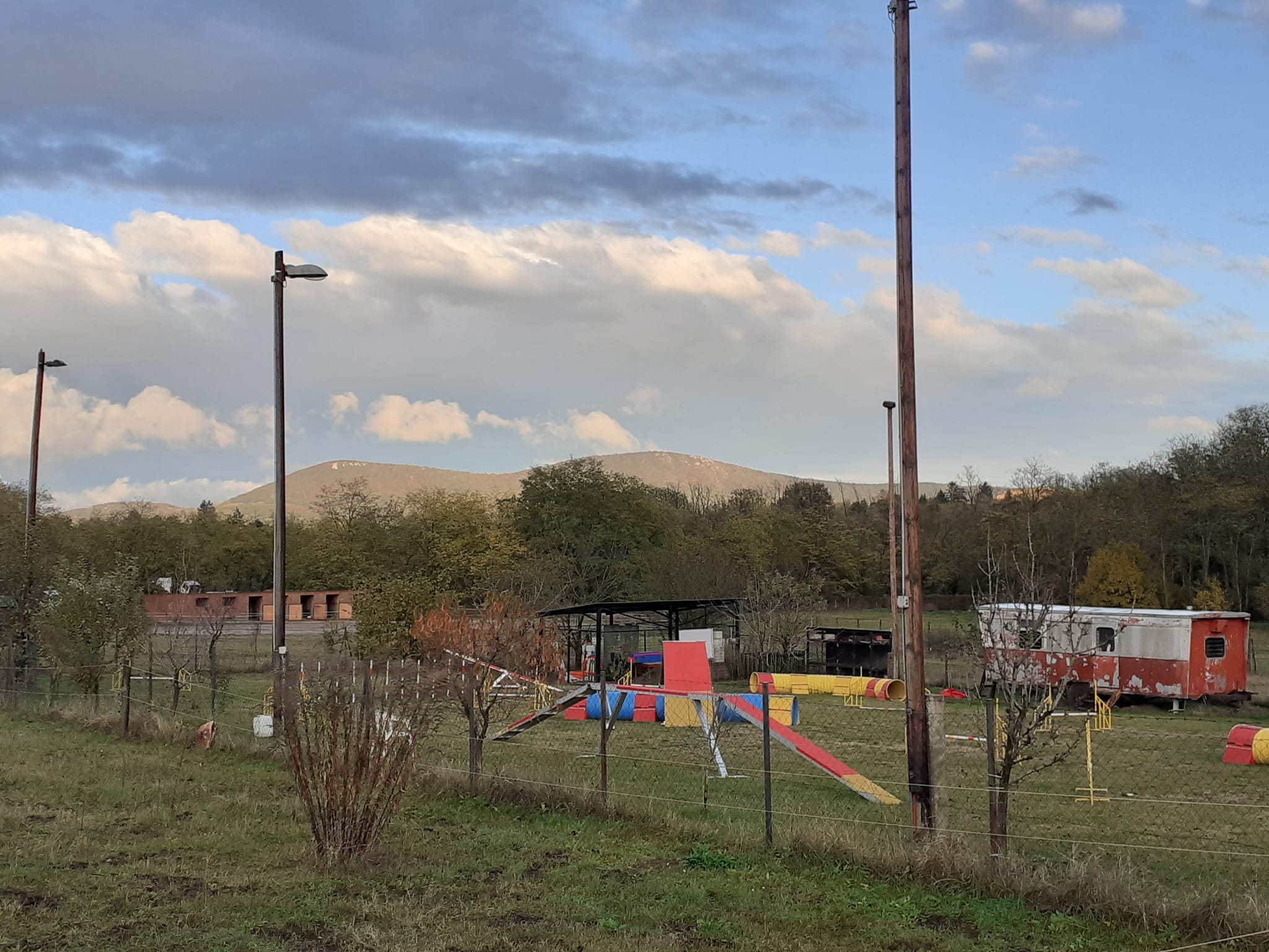 Bergerac de Hu Kutyaiskola