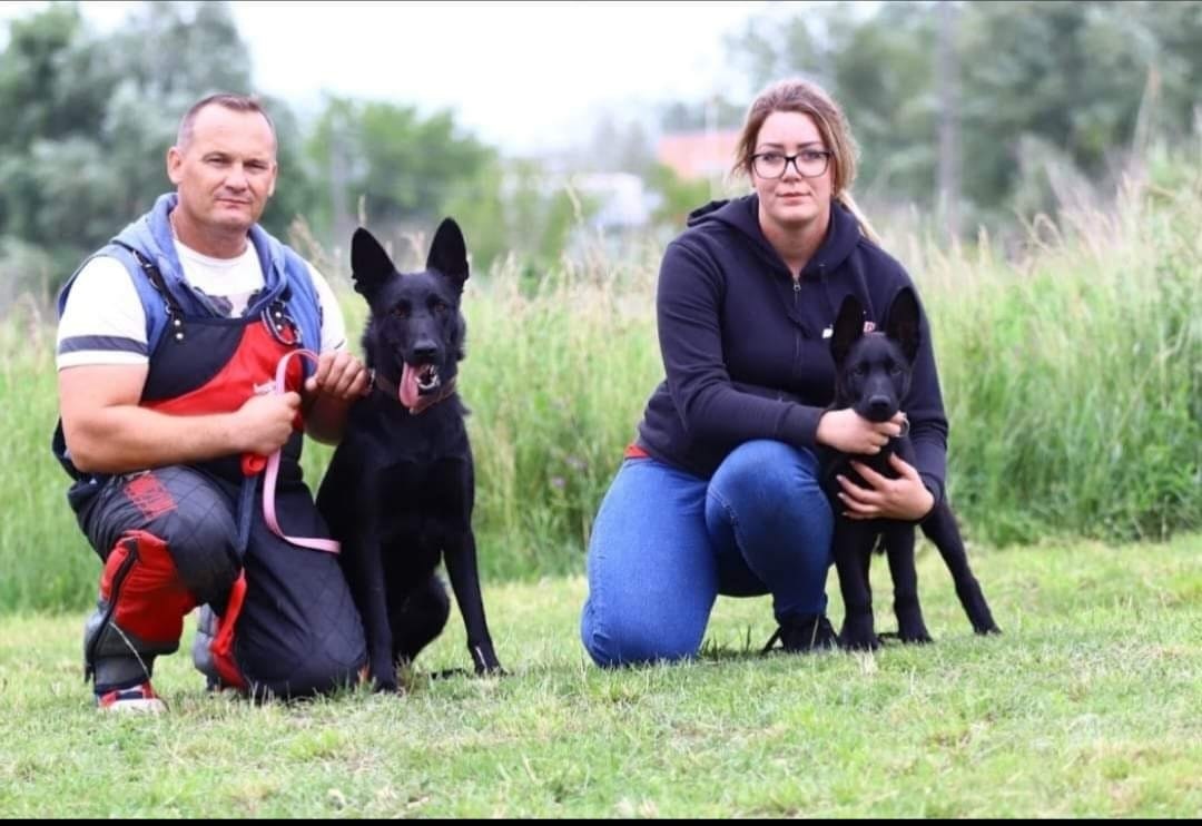 Ebfalva kutyaiskola és napközi