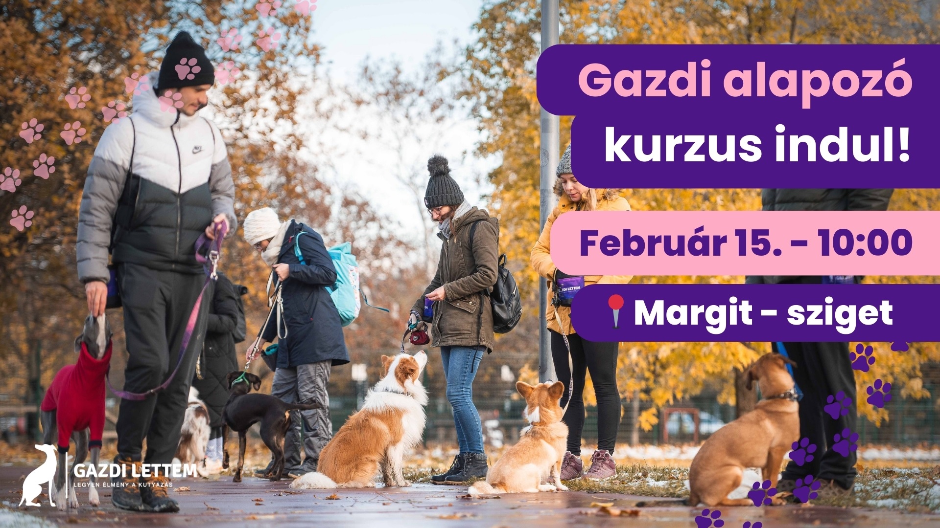 Gazdi lettem Kutyaiskola