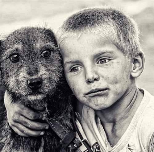 Fanny World Kutyaiskola