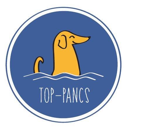 Top-Pancs