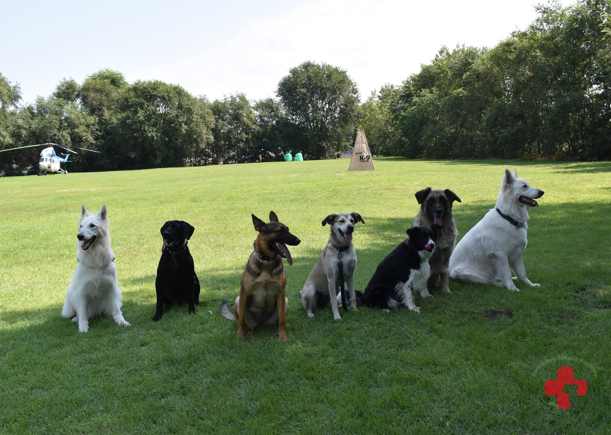 Keresőkutyás Szolgálat Alapítvány