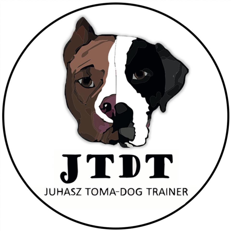 JTDT - Juhász Toma Dog Trainer