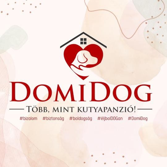 DomiDog Kutyapanzió