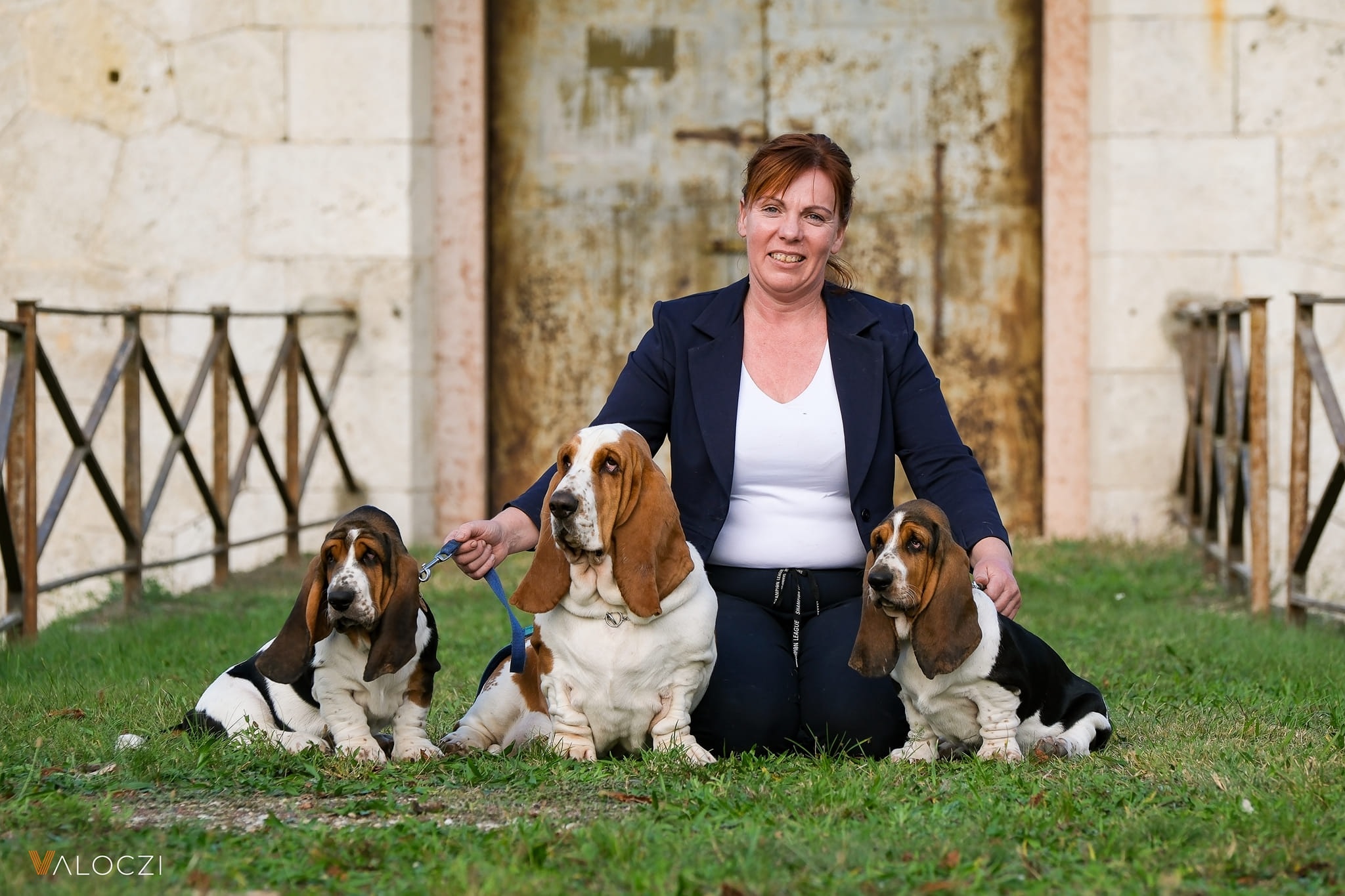 Nagyhegyi Pajkos Basset Hound Kennel ès Kutyapanzió, Pajkos Panzió