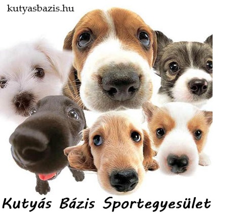 Kutyás Bázis Sportegyesület