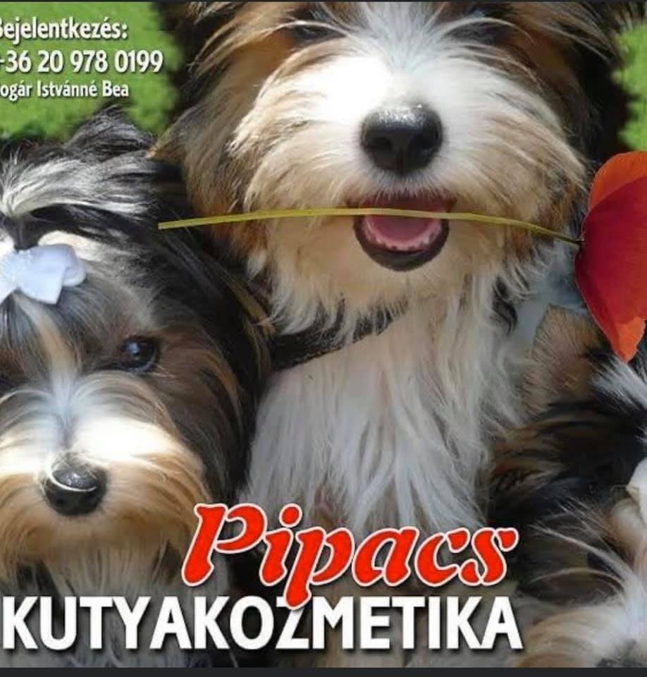 Pipacs Kutyakozmetika