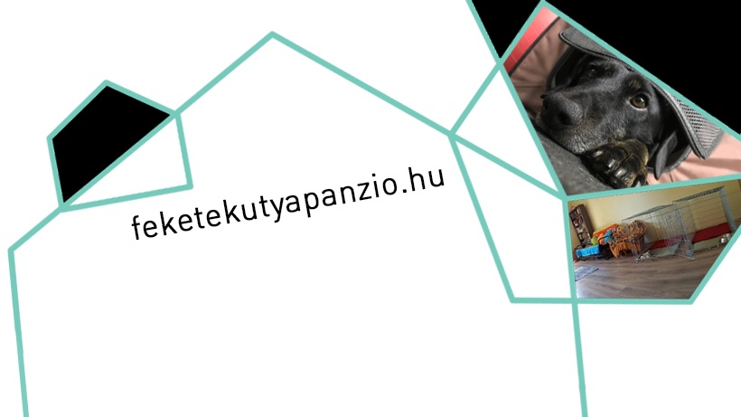 Panzió a fekete kutyához