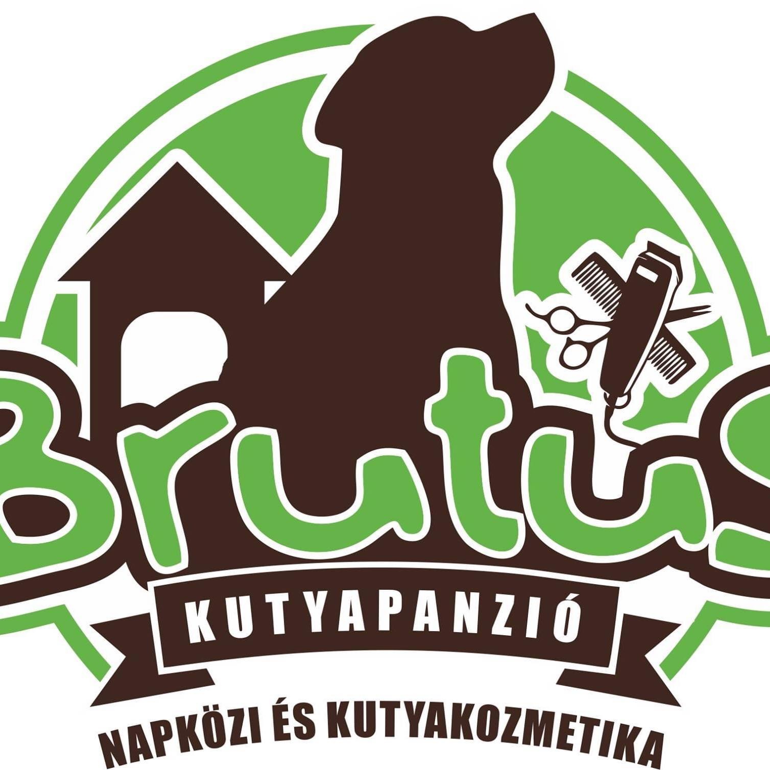 Brutus Kutyapanzió Napközi és Kutyakozmetika