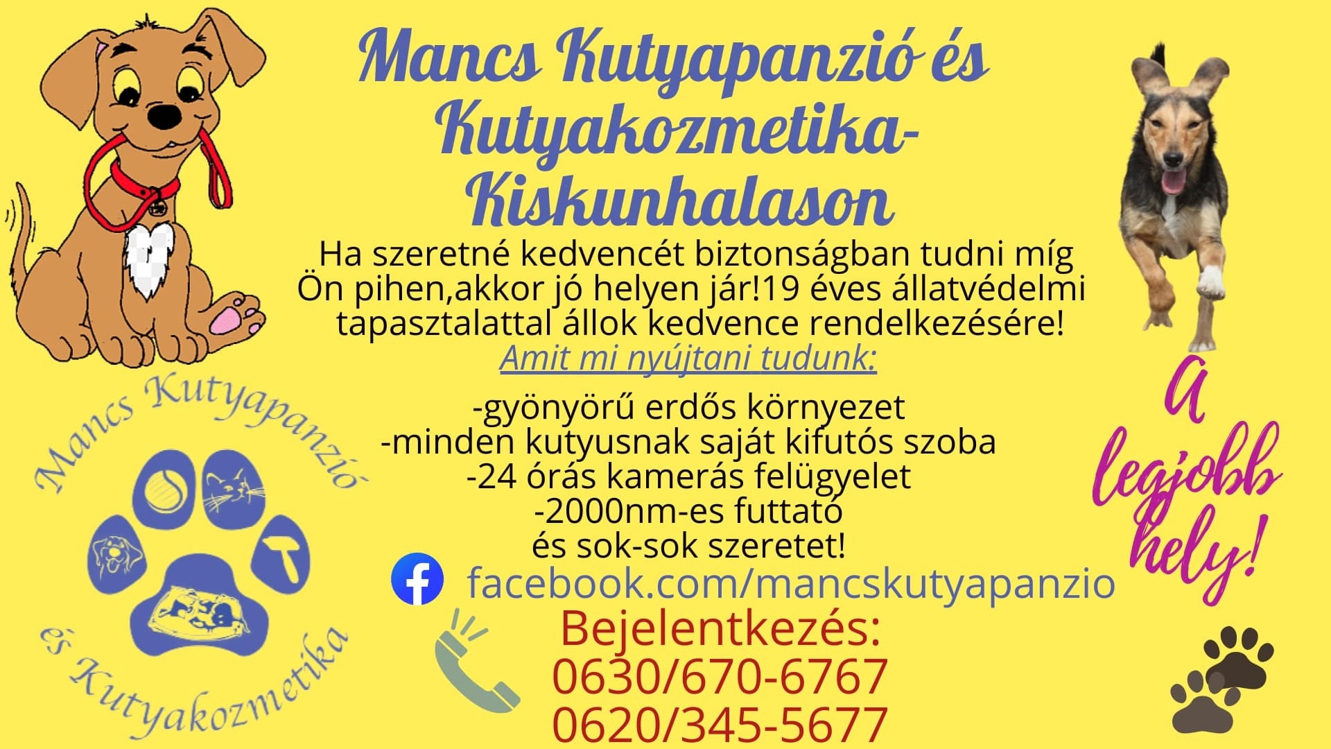 Mancs Kutyapanzió és Kutyakozmetika