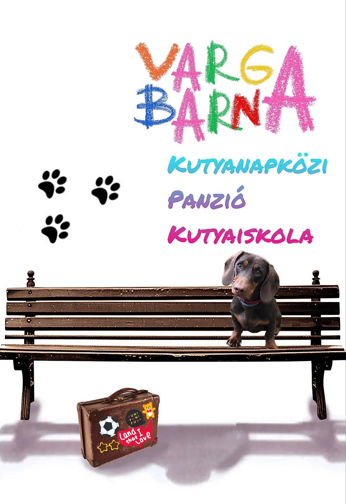 Vargabarna Kutyanapközi, Panzió és Kutyaiskola