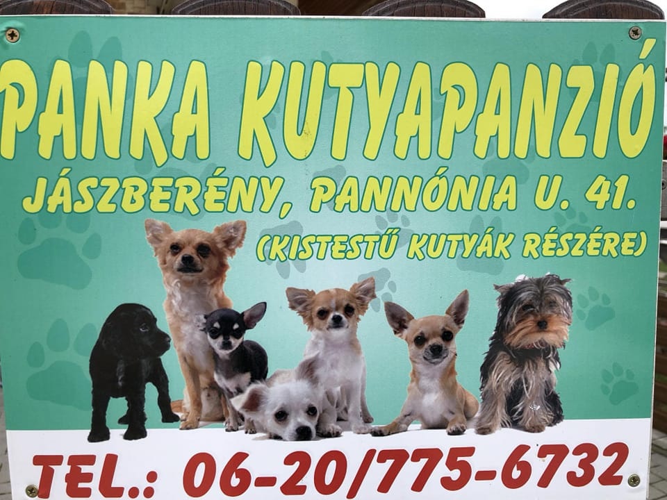 Panka kutyapanzió