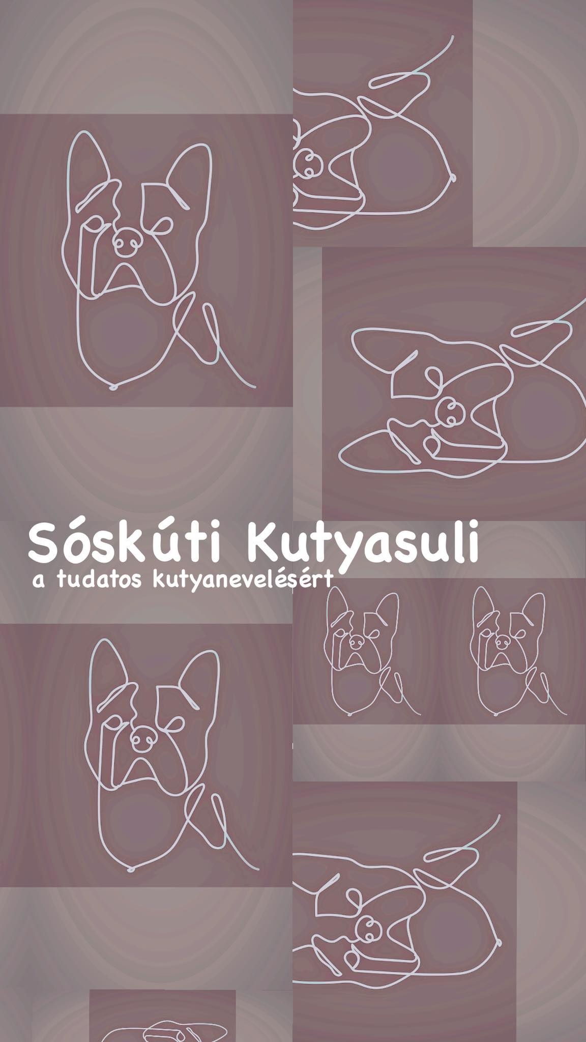 Sóskúti Kutyasuli