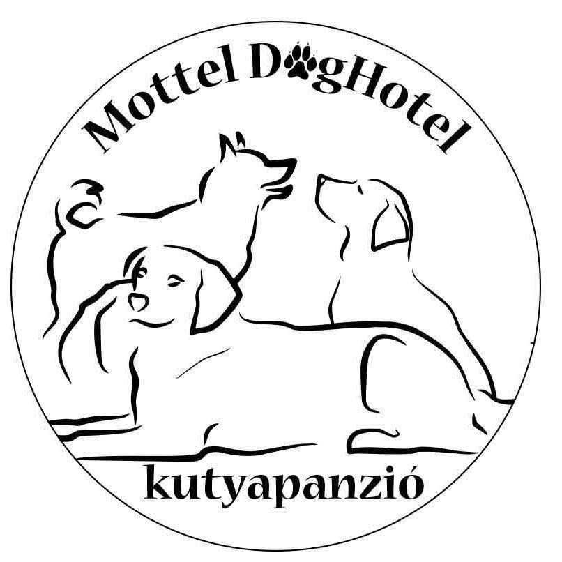 Mottel DogHotel kutyapanzió és napközi