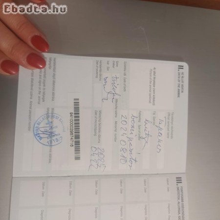 9 hónapos berni pásztor kutya