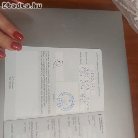 9 hónapos berni pásztor kutya