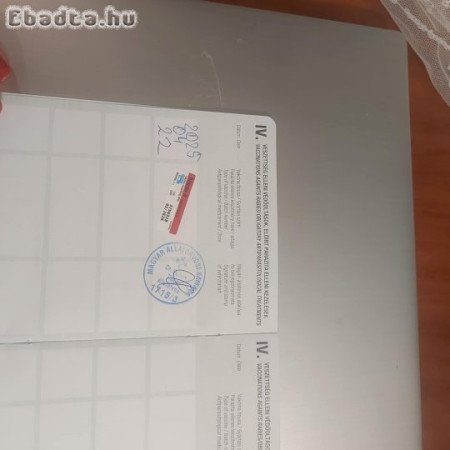 9 hónapos berni pásztor kutya