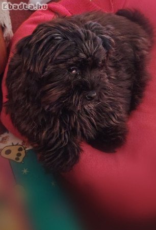 Borsod Abaúj Zemplén megye